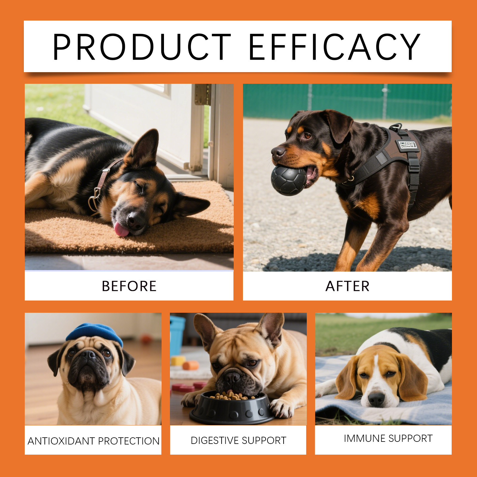 Gouttes aux herbes pour chiens - Herbal Wellness Drops avis et prix